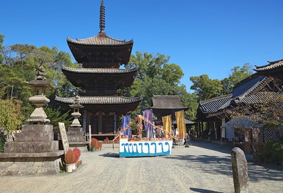 마츠야마,이시테지